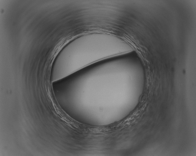 X0000067390241200603311002