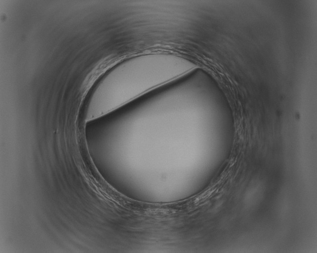 X0000067390242200603311002