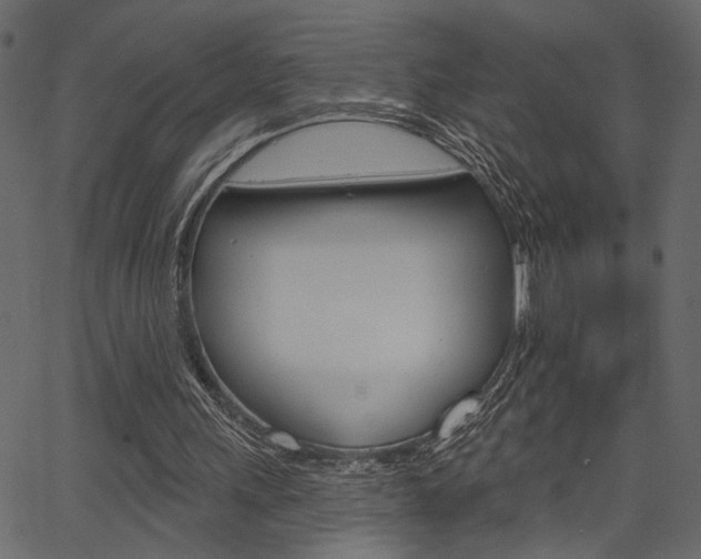 X0000067390243200603311002