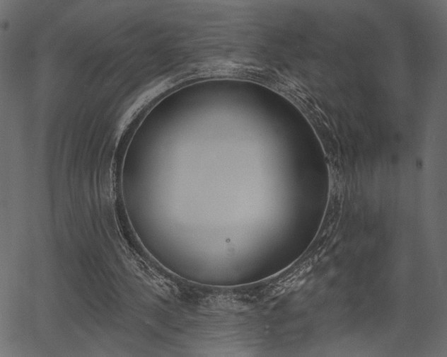 X0000067390244200603311002