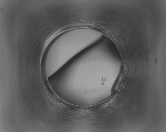 X0000067390246200603311002