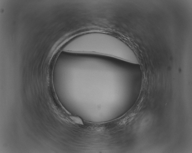 X0000067390247200603311002