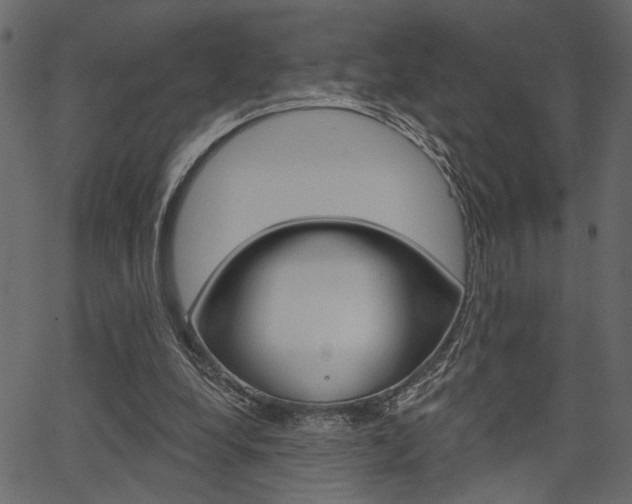 X0000067390248200603311002