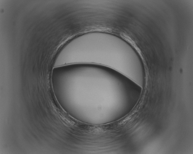 X0000067390249200603311002