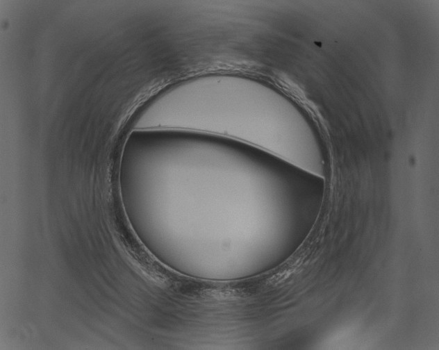 X0000067390250200603311002