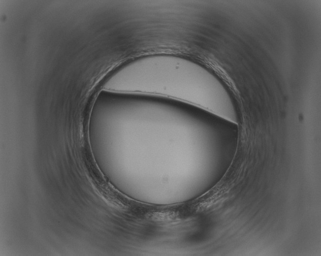 X0000067390251200603311002