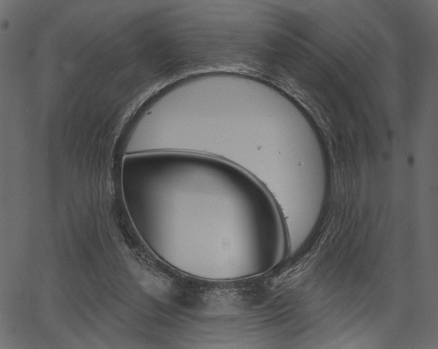 X0000067390252200603311002