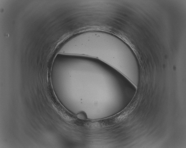 X0000067390253200603311002