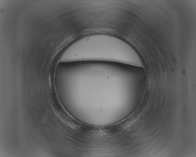 X0000067390254200603311002