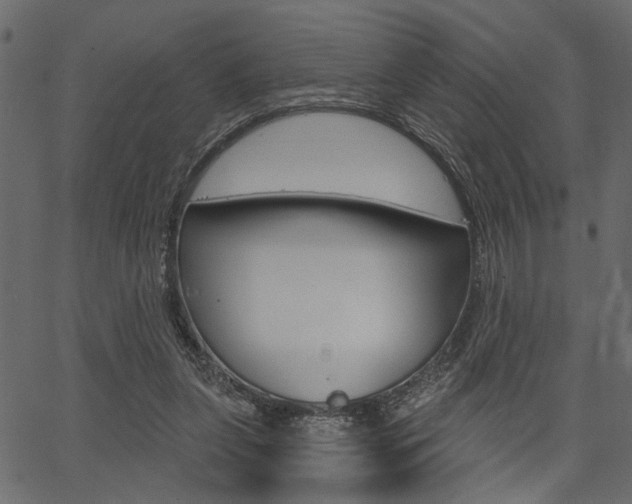 X0000067390255200603311003