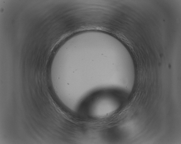 X0000067390256200603311003