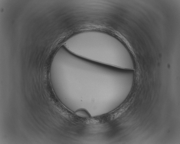 X0000067390257200603311003