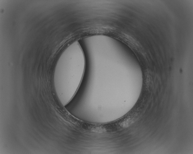 X0000067390258200603311003