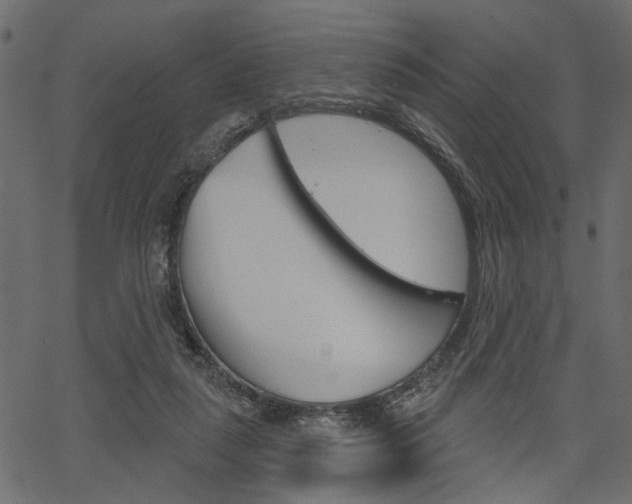 X0000067390259200603311003