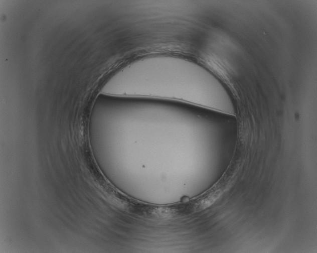 X0000067390261200603311003