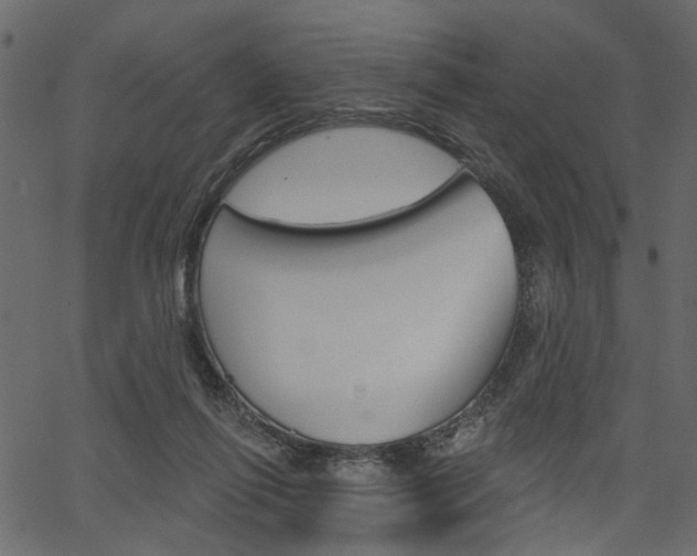 X0000067390262200603311003