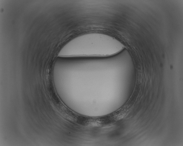 X0000067390263200603311003