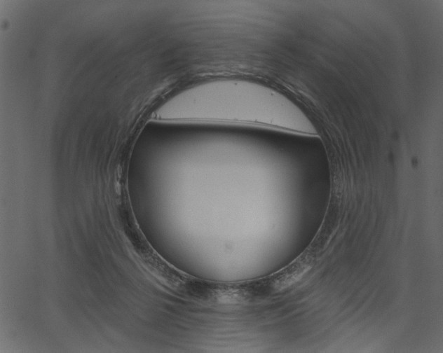 X0000067390264200603311003