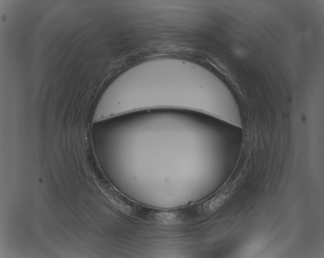 X0000067390265200603311003