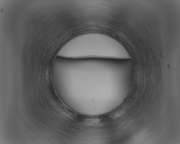 X0000067390266200603311003