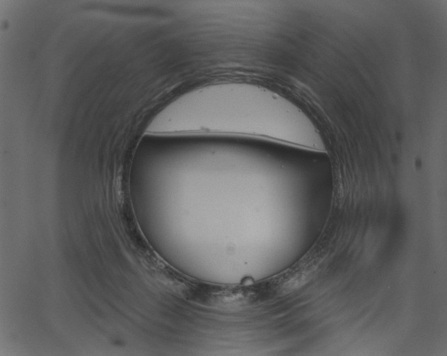 X0000067390267200603311003