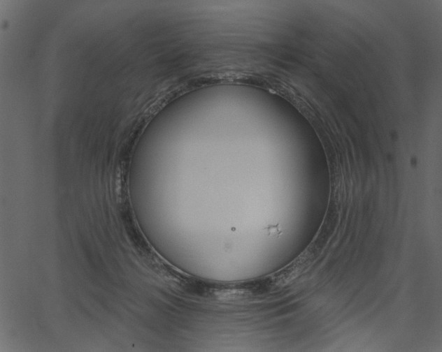 X0000067390268200603311003