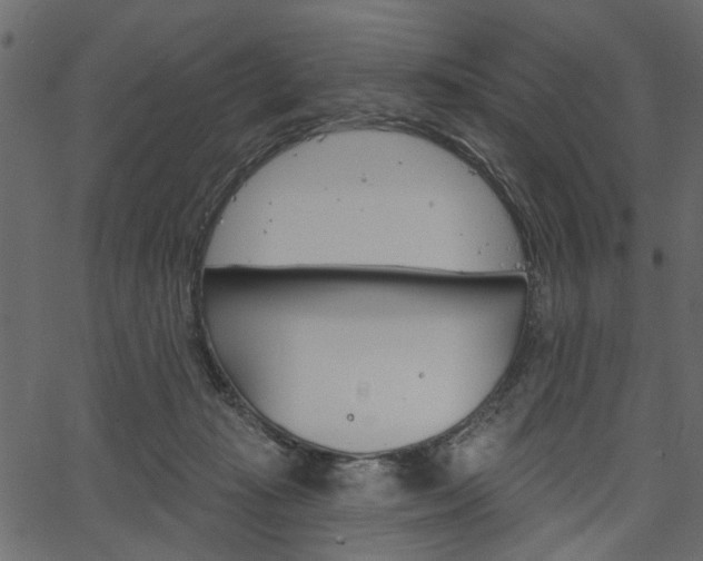 X0000067390269200603311003