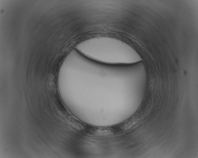 X0000067390270200603311003