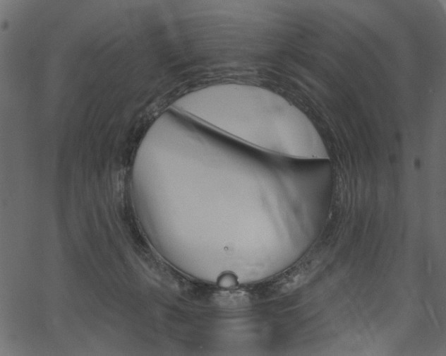 X0000067390271200603311003