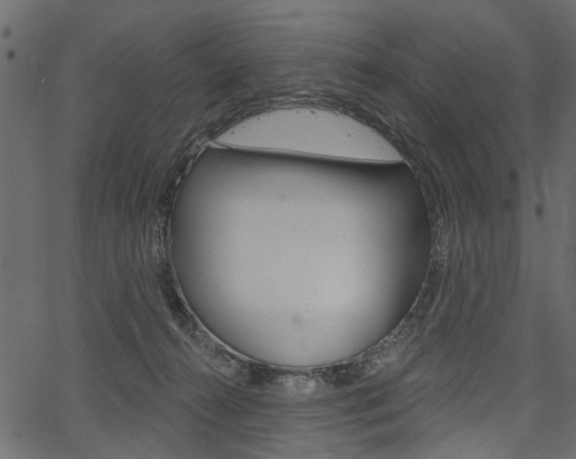 X0000067390272200603311003