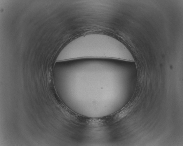 X0000067390273200603311003