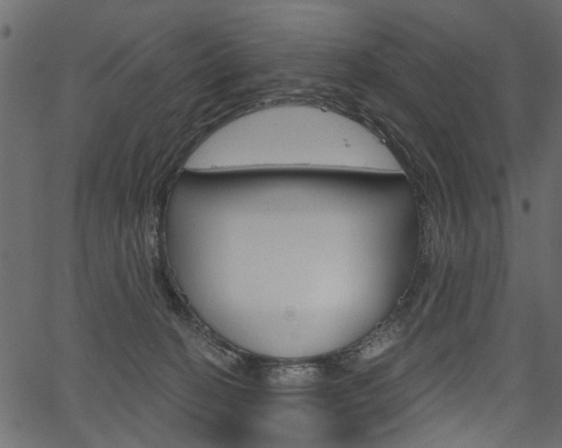 X0000067390274200603311003