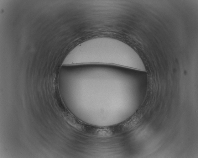 X0000067390275200603311003