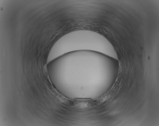 X0000067390276200603311003