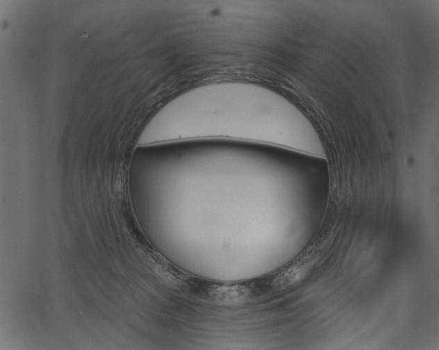 X0000067390277200603311003