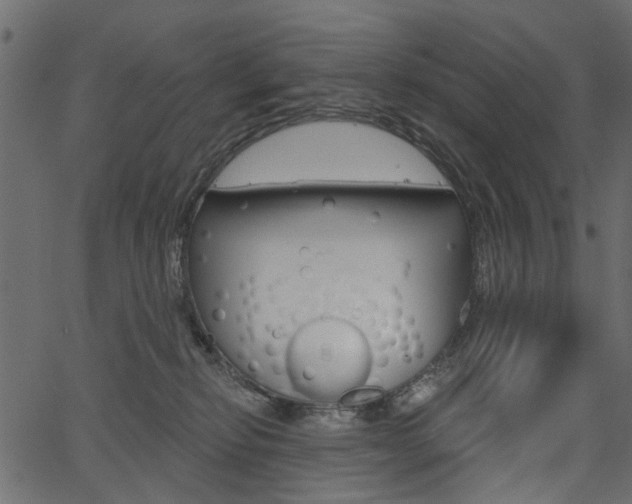 X0000067390278200603311003