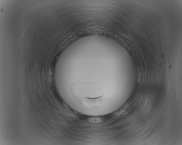 X0000067390279200603311003