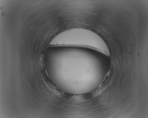 X0000067390280200603311003