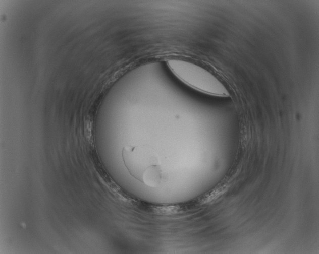 X0000067390281200603311003