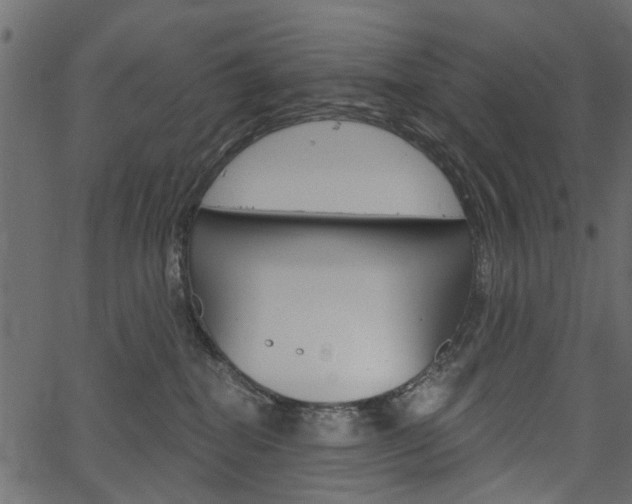 X0000067390282200603311003