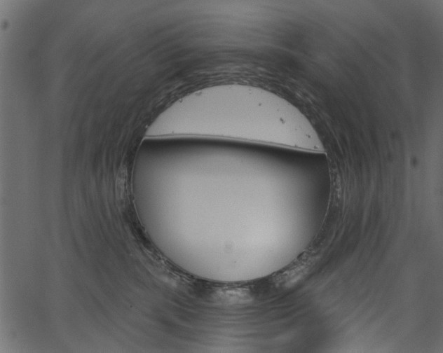 X0000067390283200603311003