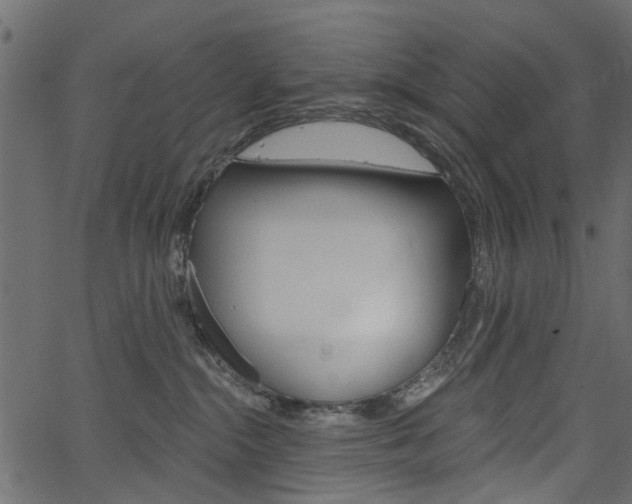 X0000067390284200603311003