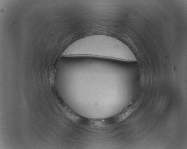 X0000067390285200603311003