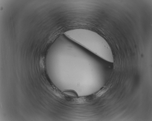 X0000067390286200603311003