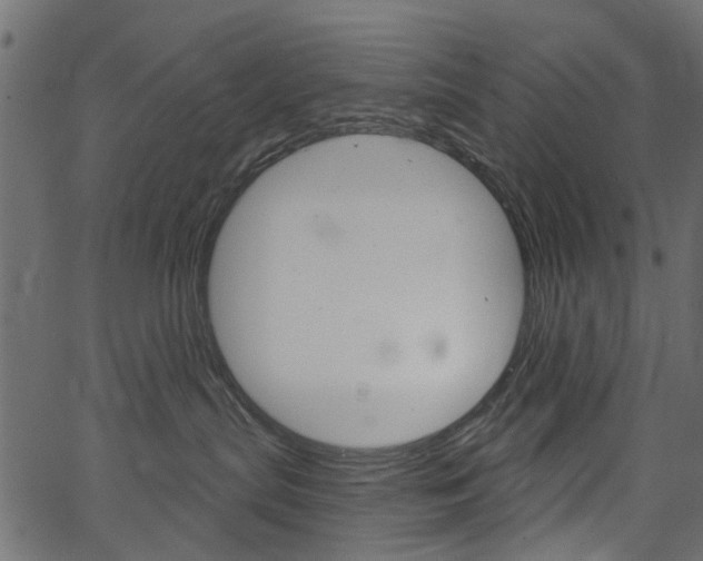 X0000067390287200603311003