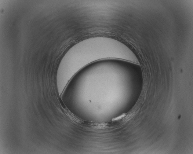 X0000067390288200603311003