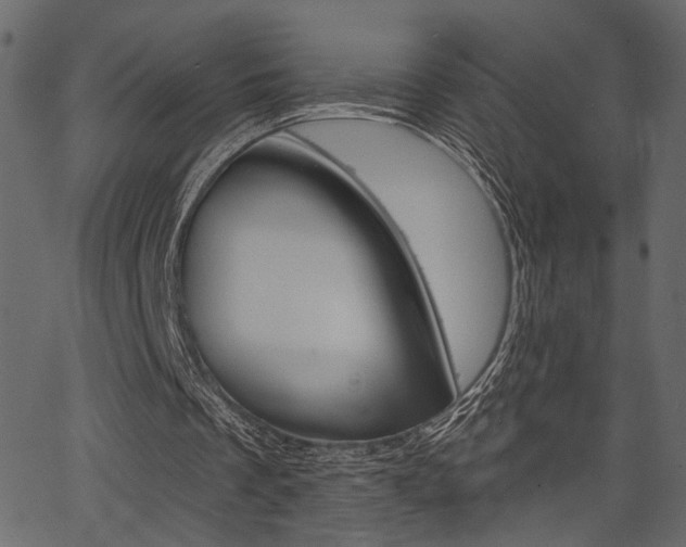 X0000067390289200603311002