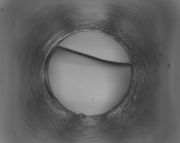 X0000067390290200603311002