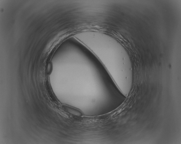 X0000067390291200603311002