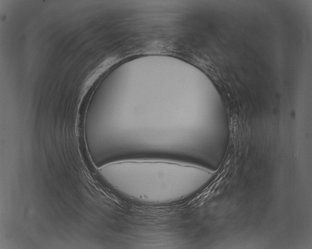 X0000067390292200603311002